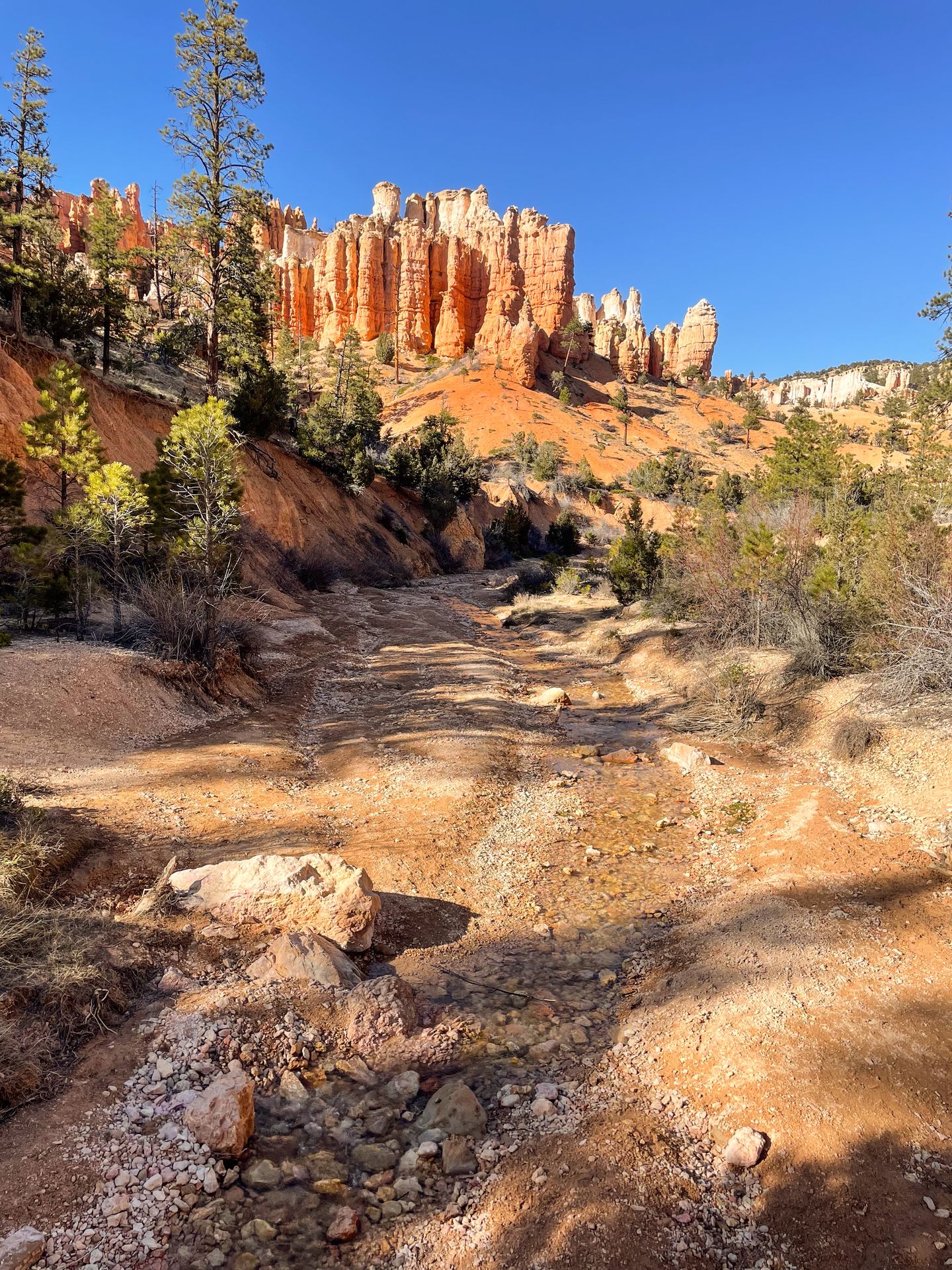 Looking at the Tropic Ditch with hoodoo formations in the distance