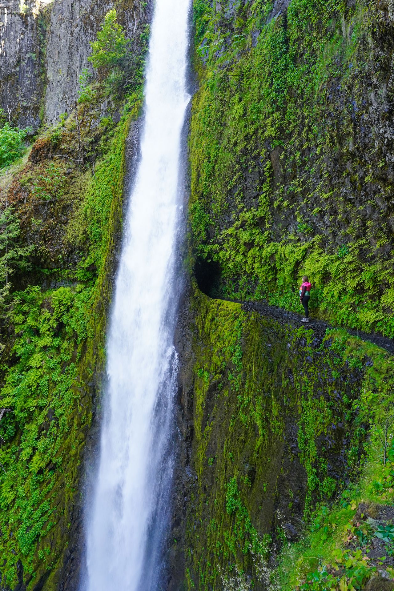 Lydia standing on the trail to Tunnel Falls, which is narrow and has a tunnel behind the waterfall