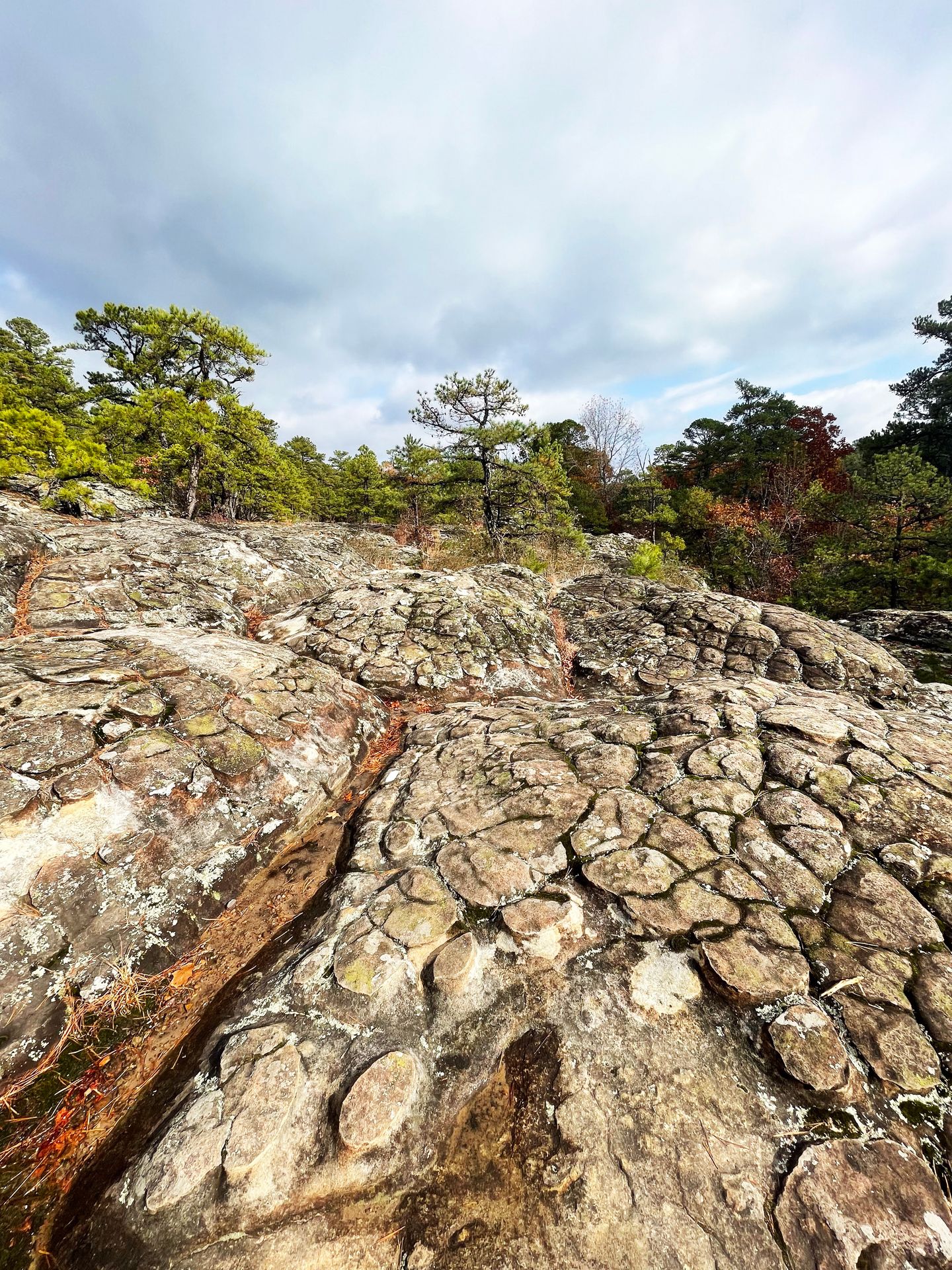 An area of textured rocks that resemble the shells of a turtle.