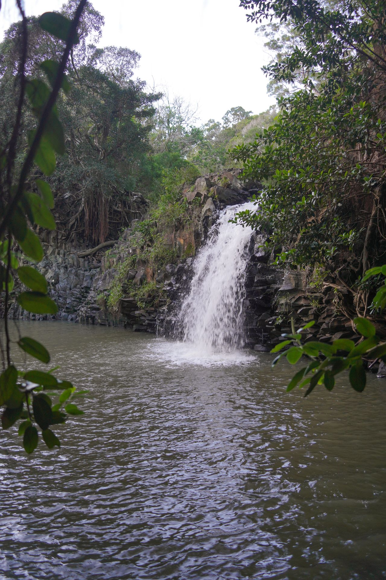 Looking through some tree leaves at a waterfall