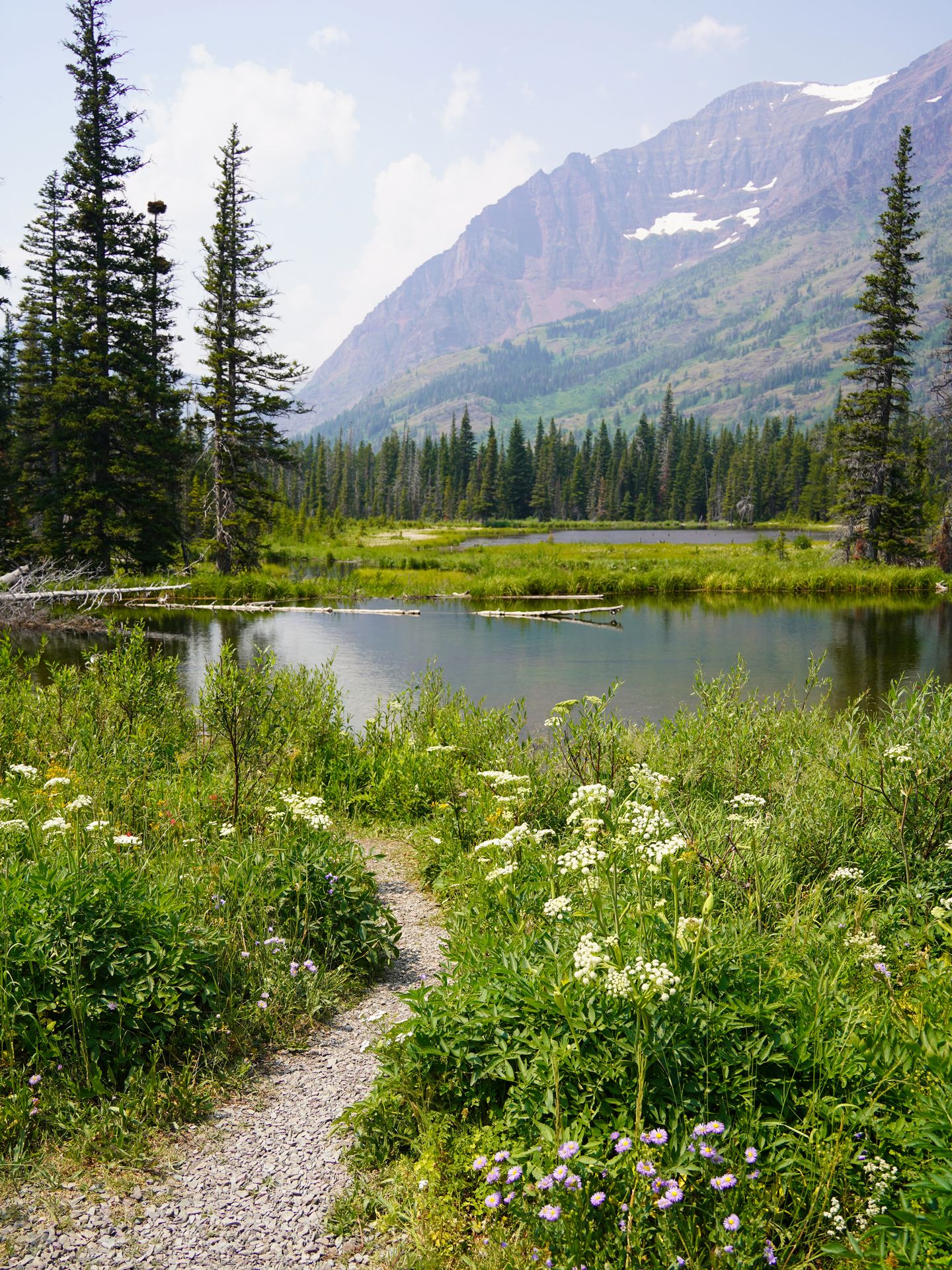 A path surrounded by greenery and white flowers that leads to a lake, with mountains in the distance.