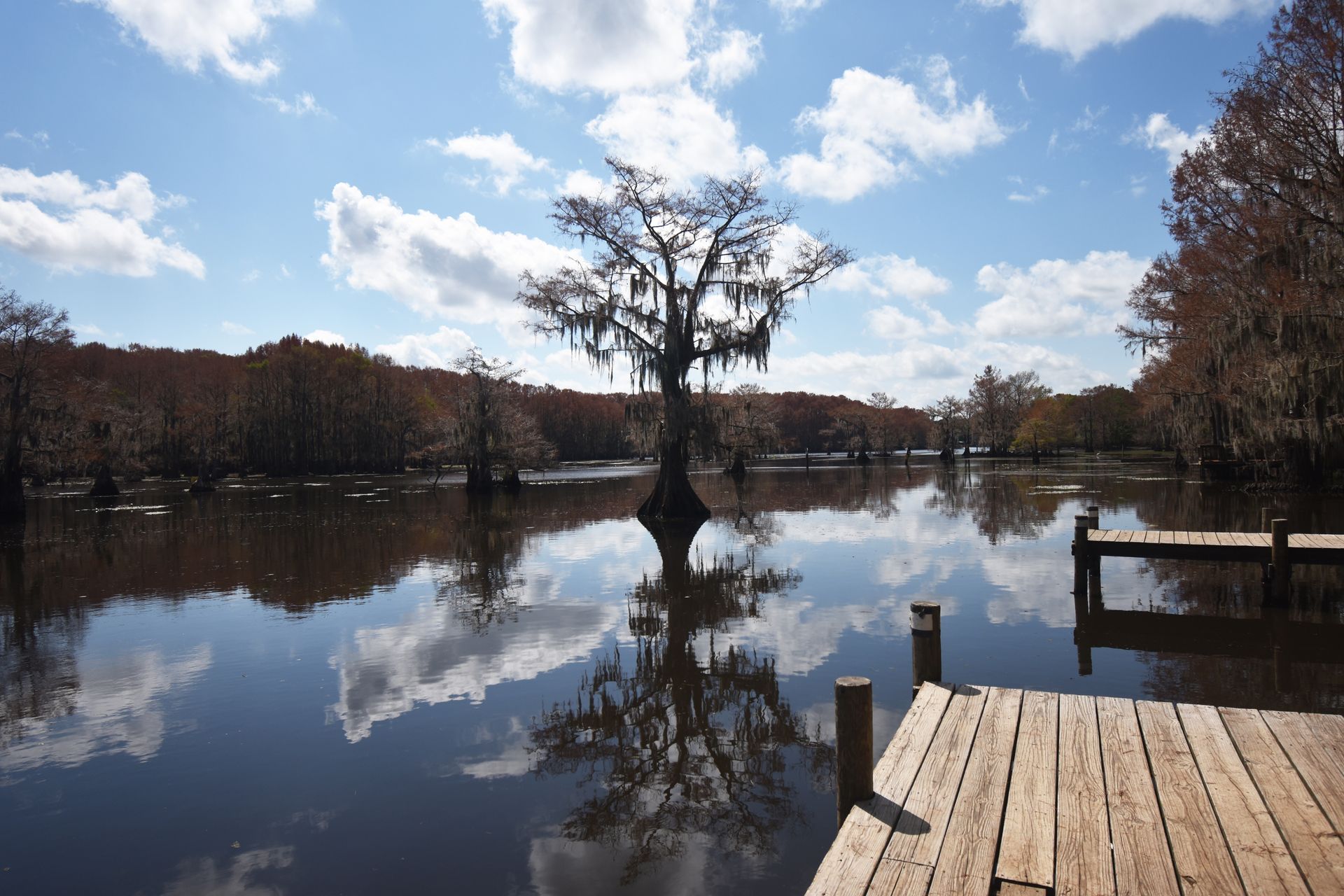 Looking at a couple docks on the water of Caddo Lake.