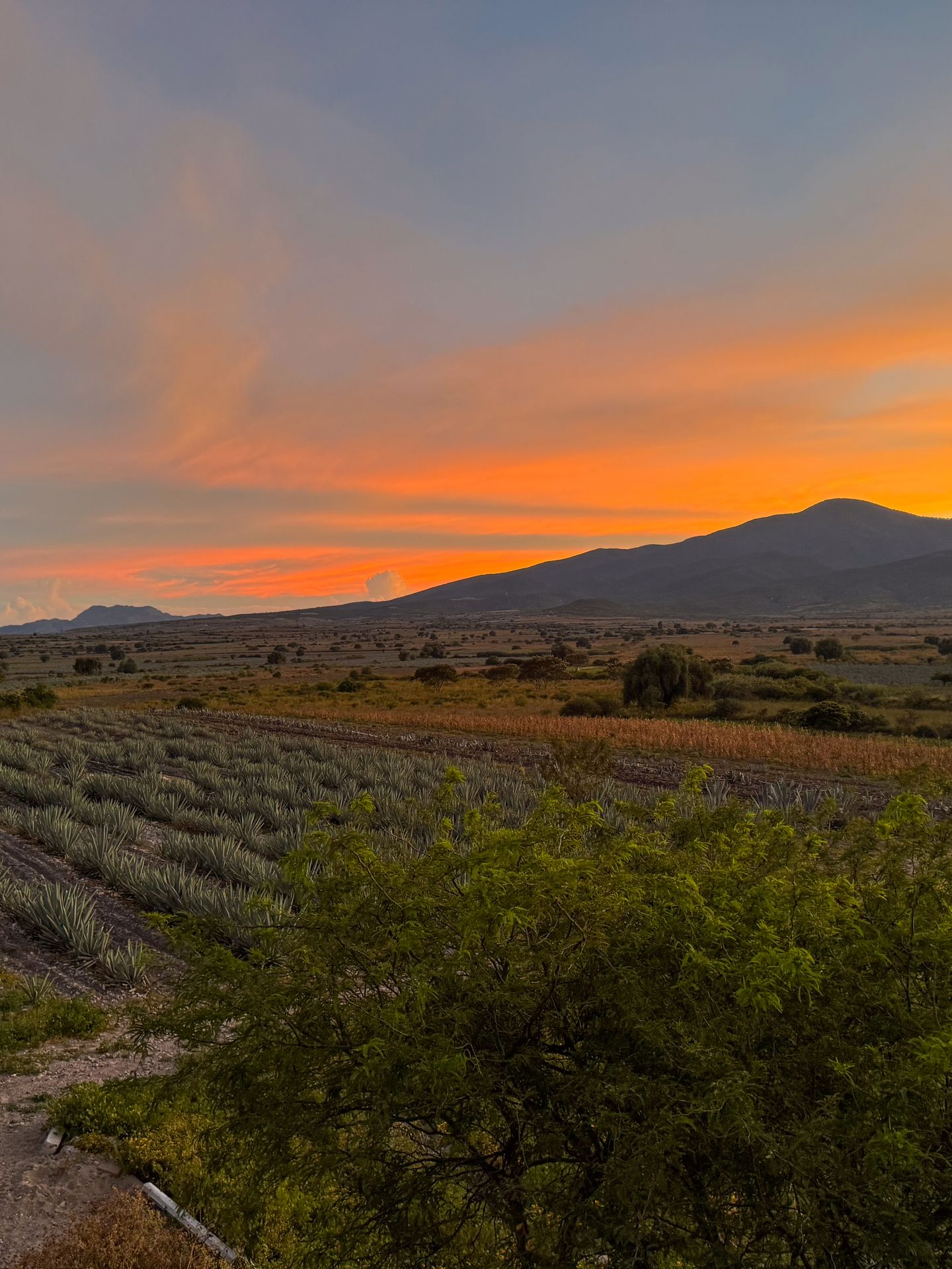 Looking out at a field and a mountain at sunset from Rancho Vale Madre