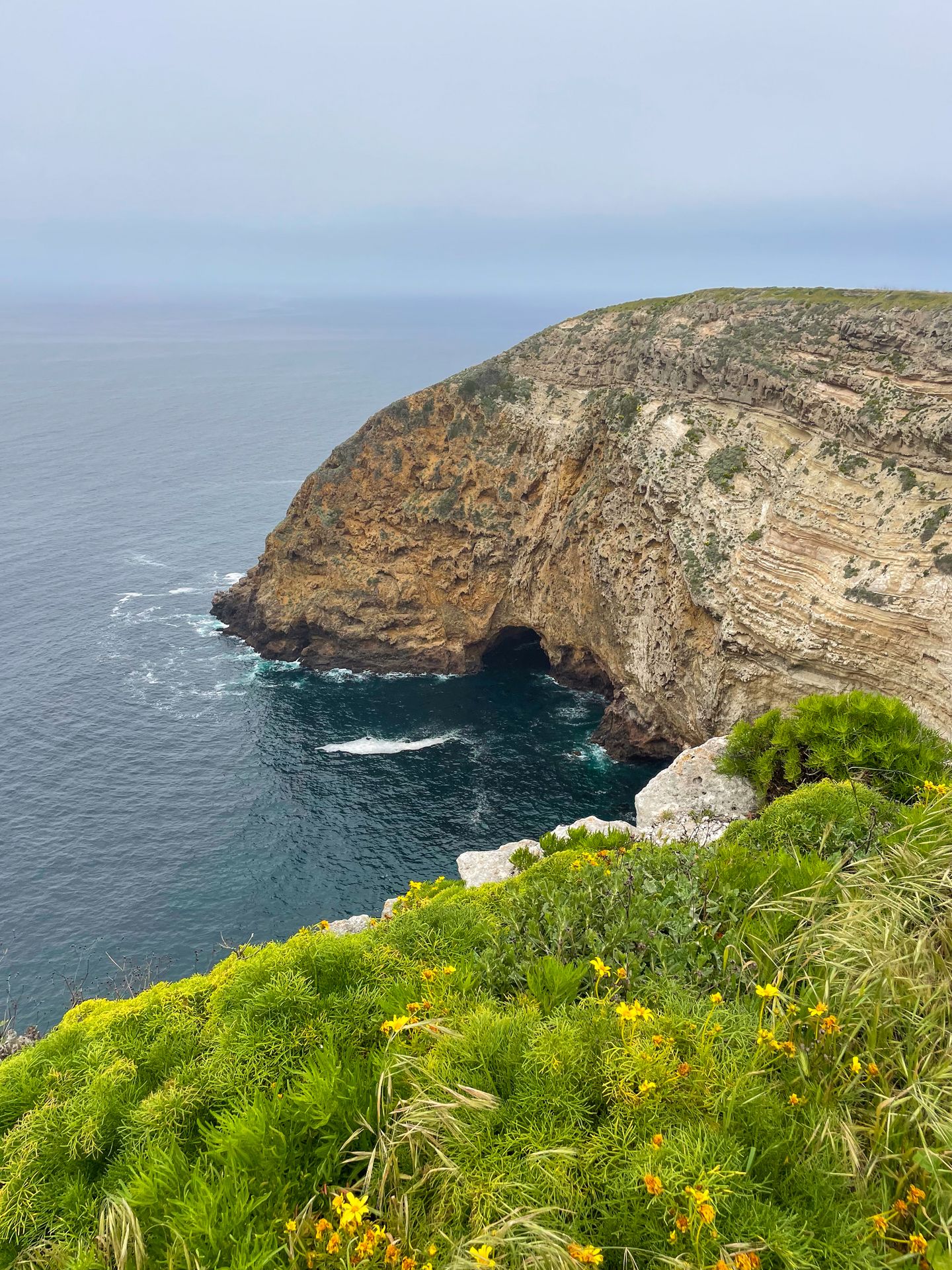 Looking down at a sea cave and a giant cliff from a trail in the Channel Islands