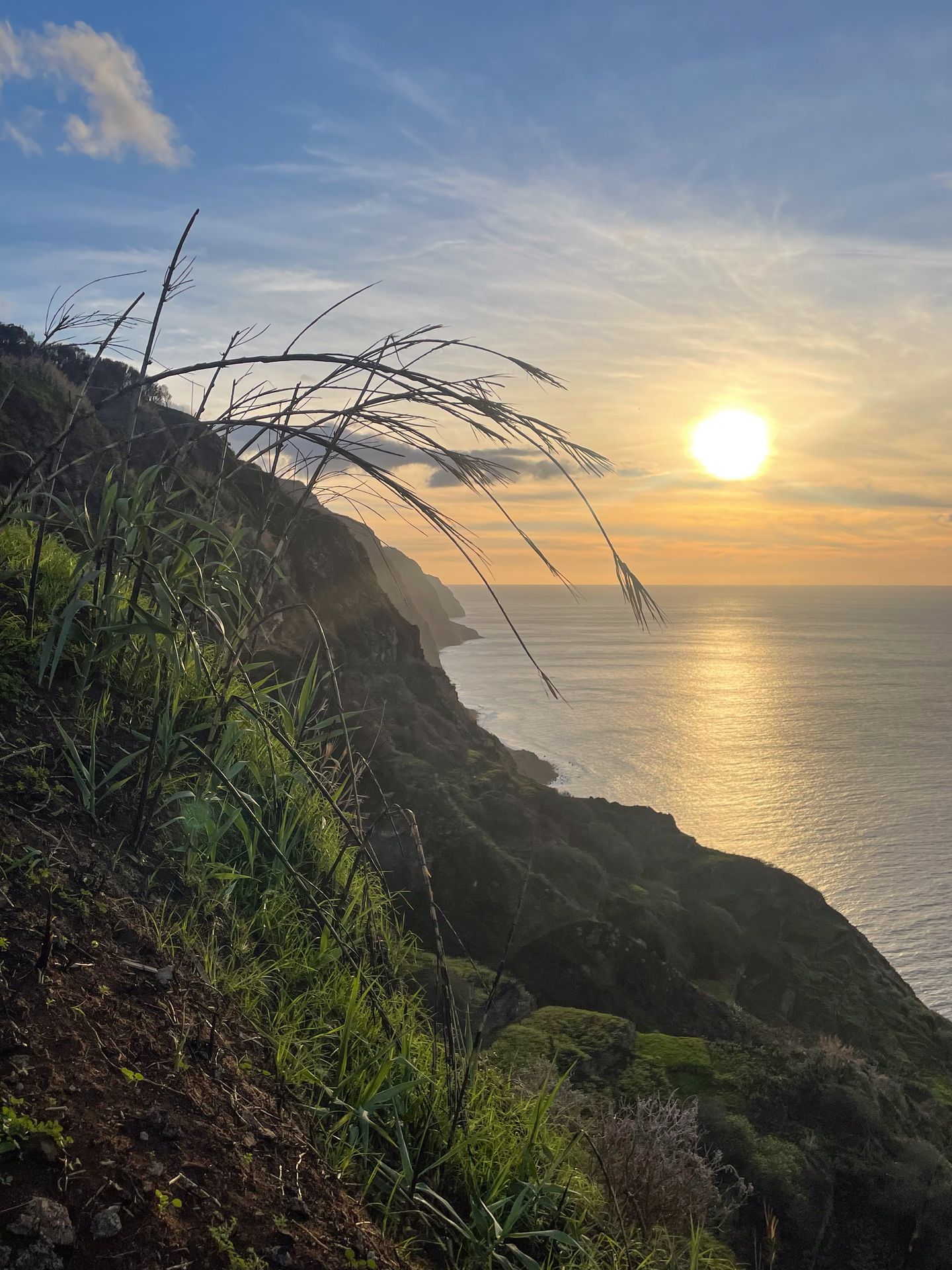 Admiring greenery up close and mountains in the distance as the sun sets over the ocean