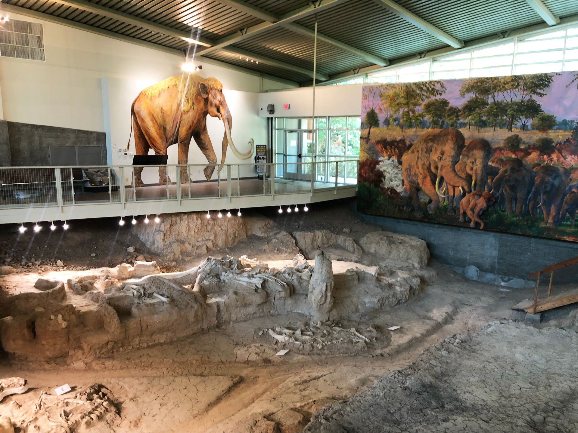 Mammoth Bones and signs at the Mammoth National Monument in Waco.