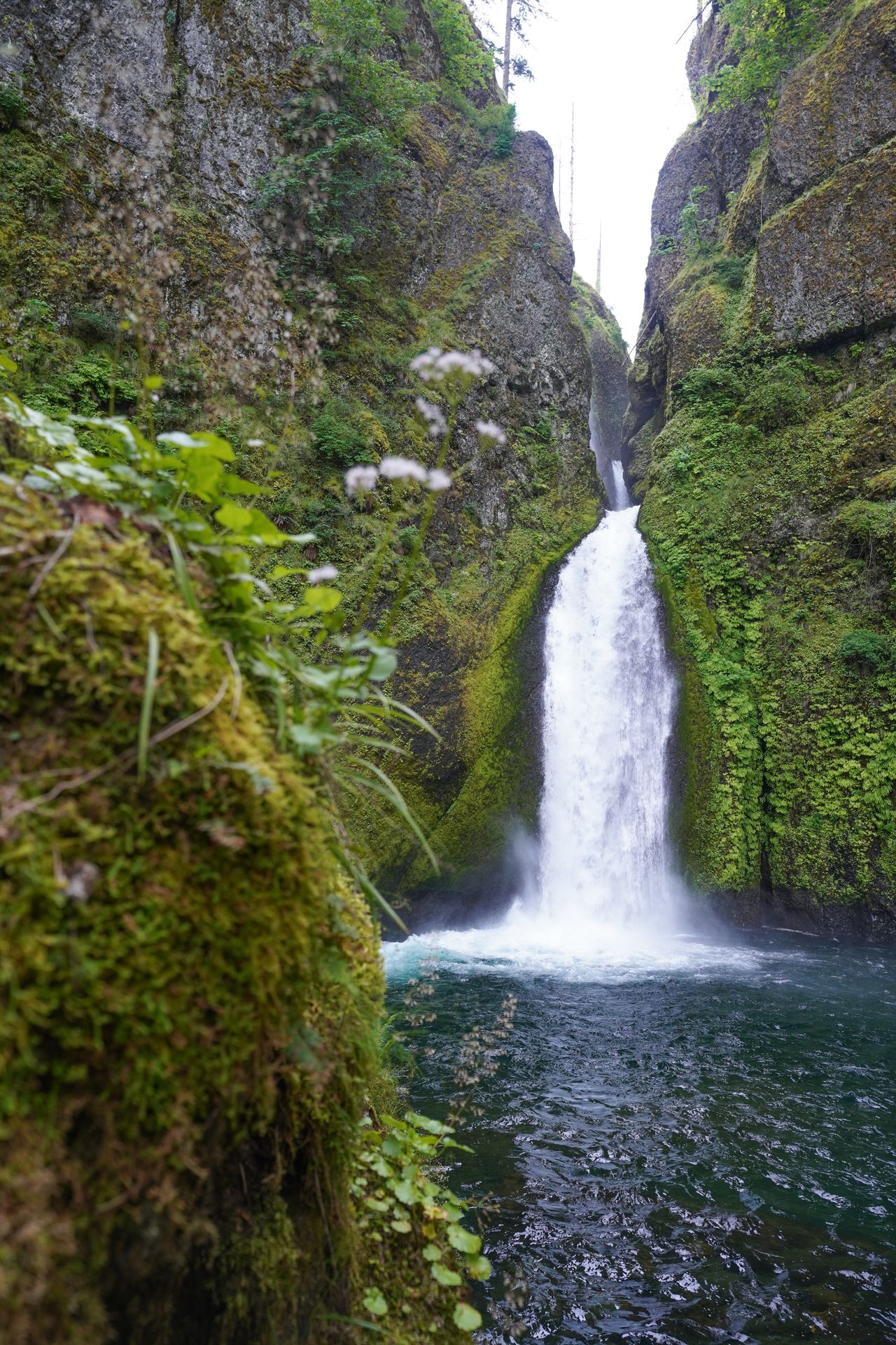 A view of Wahclella Falls framed with a large boulder in the foreground.