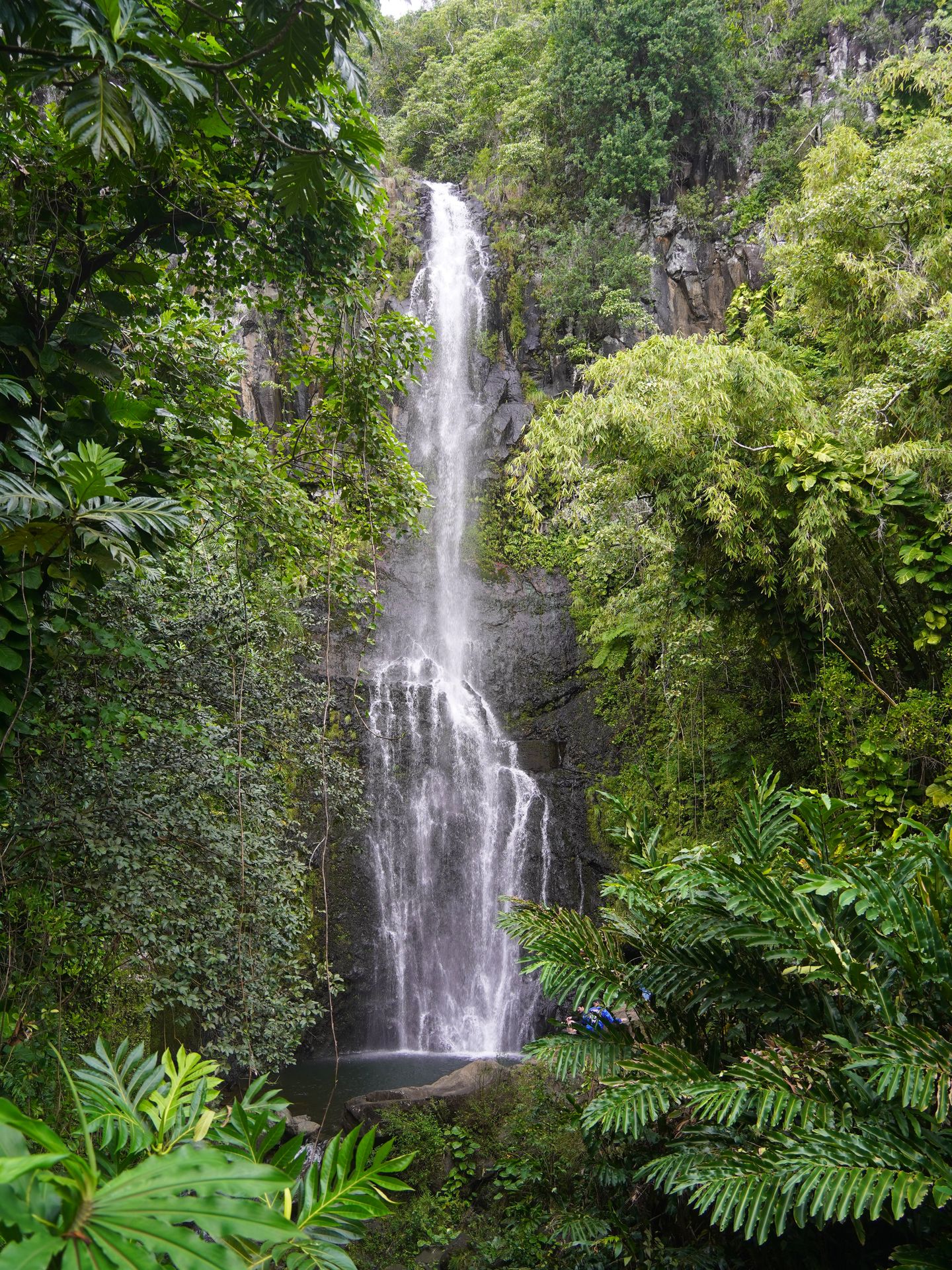 A tall waterfall surrounded by greenery