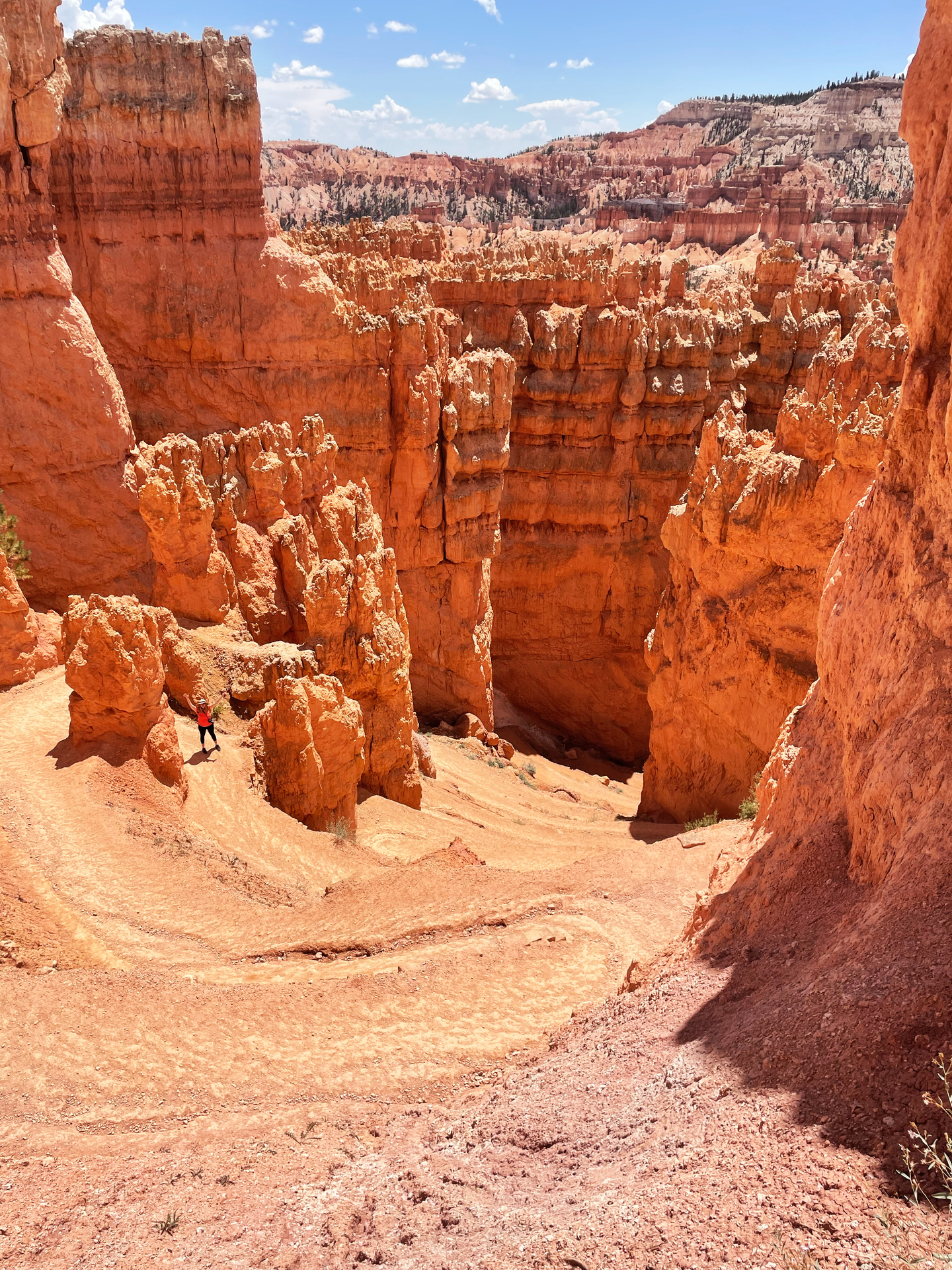 Looking down at switchbacks on the Queen's Garden trail.