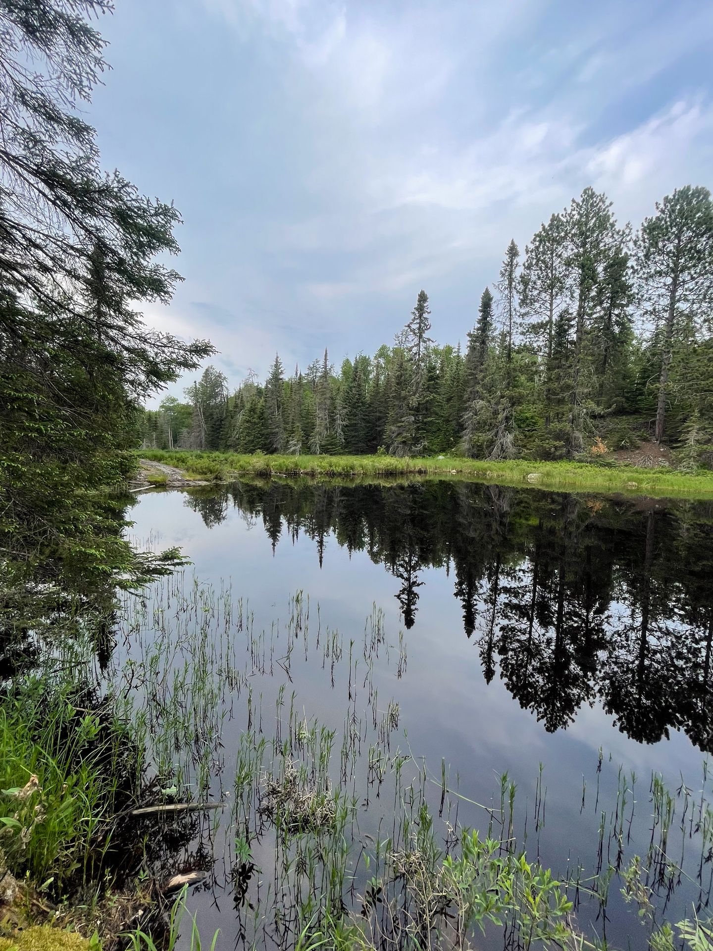 A reflection of trees on a pond seen while backpacking in Voyageurs National Park