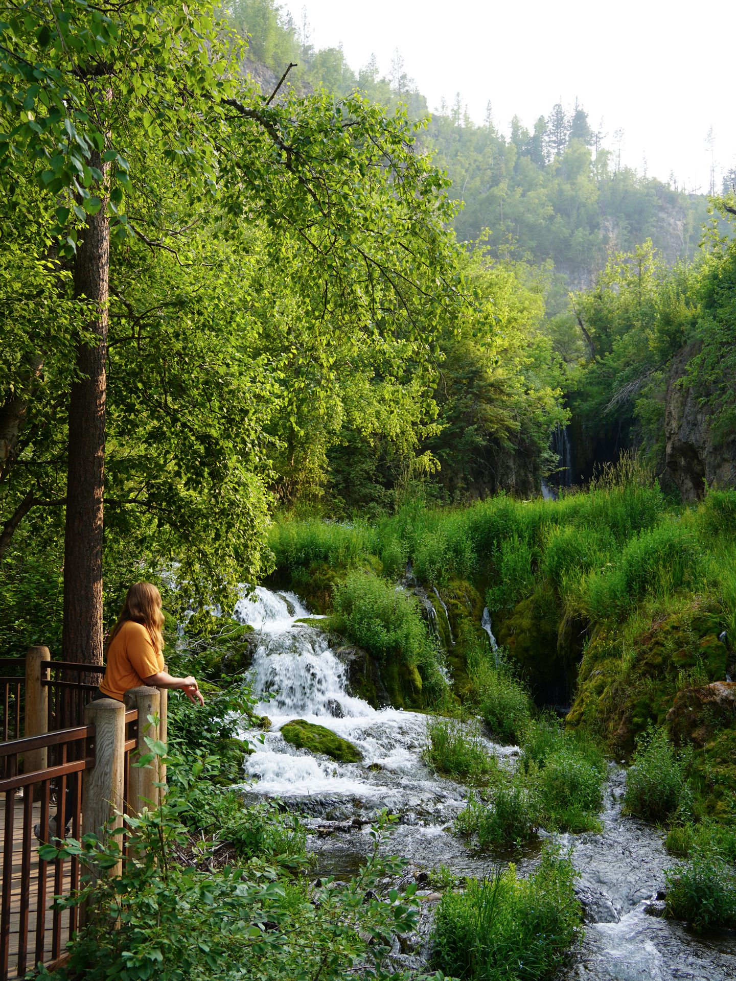 Lydia looking out a waterfall surrounded by green grass and trees