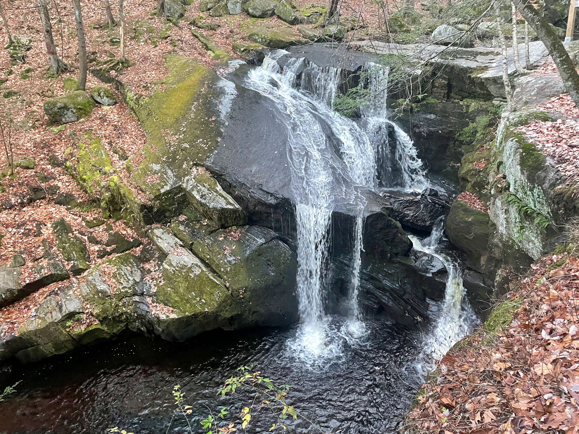 A waterfall cascading down rocks along a small stream in the forest.