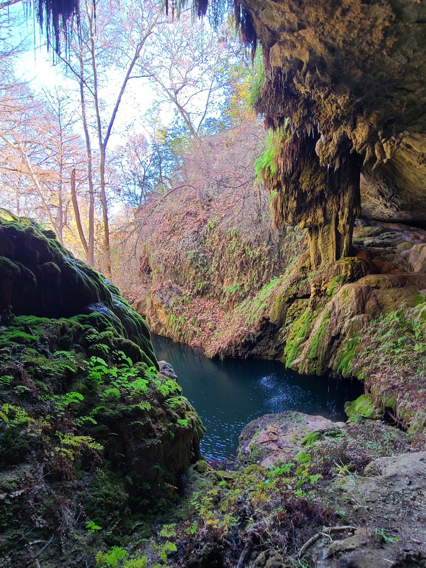 Lush greenery surrounding a blue pool or water at West Cave.