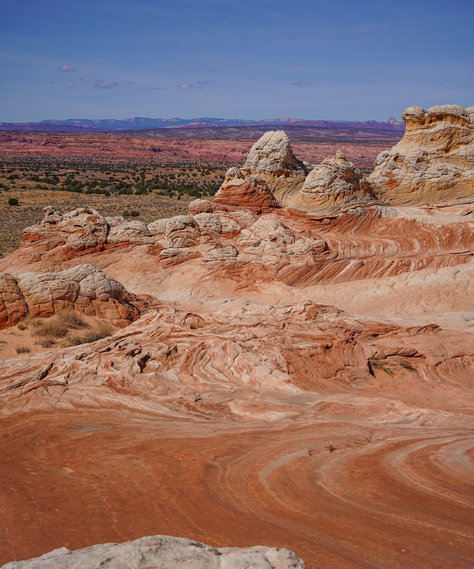 Looking down at White Pocket, with other orange rocks and mountains in the far distance