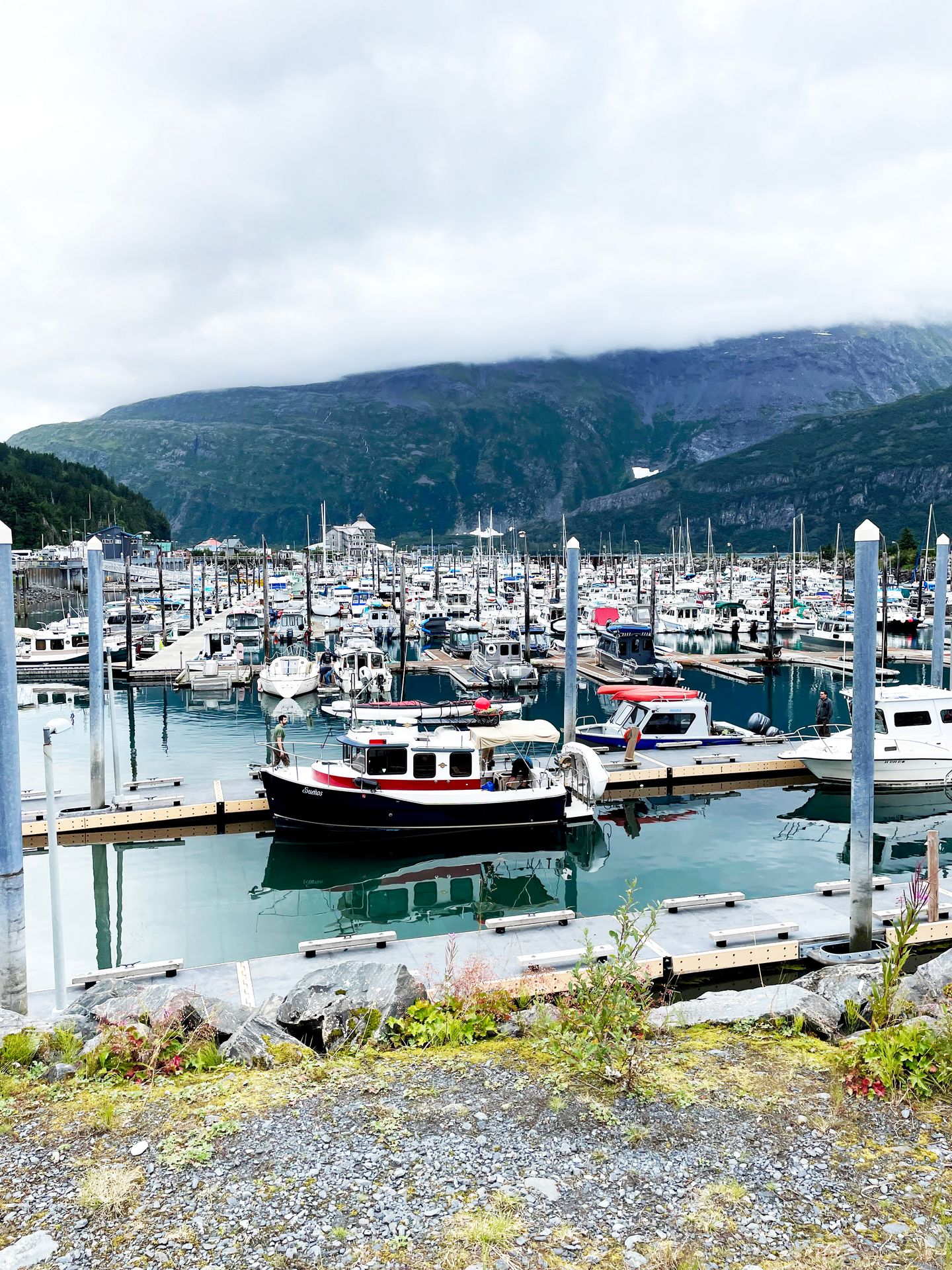 A harbor full of boats in Whittier, Alaska.