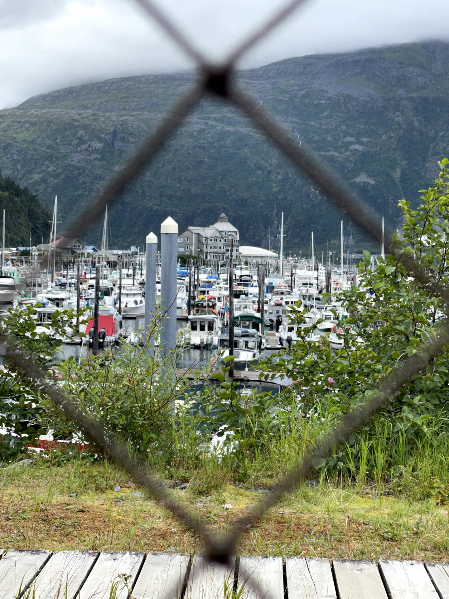 A view of the Whittier Bay through a metal fence.