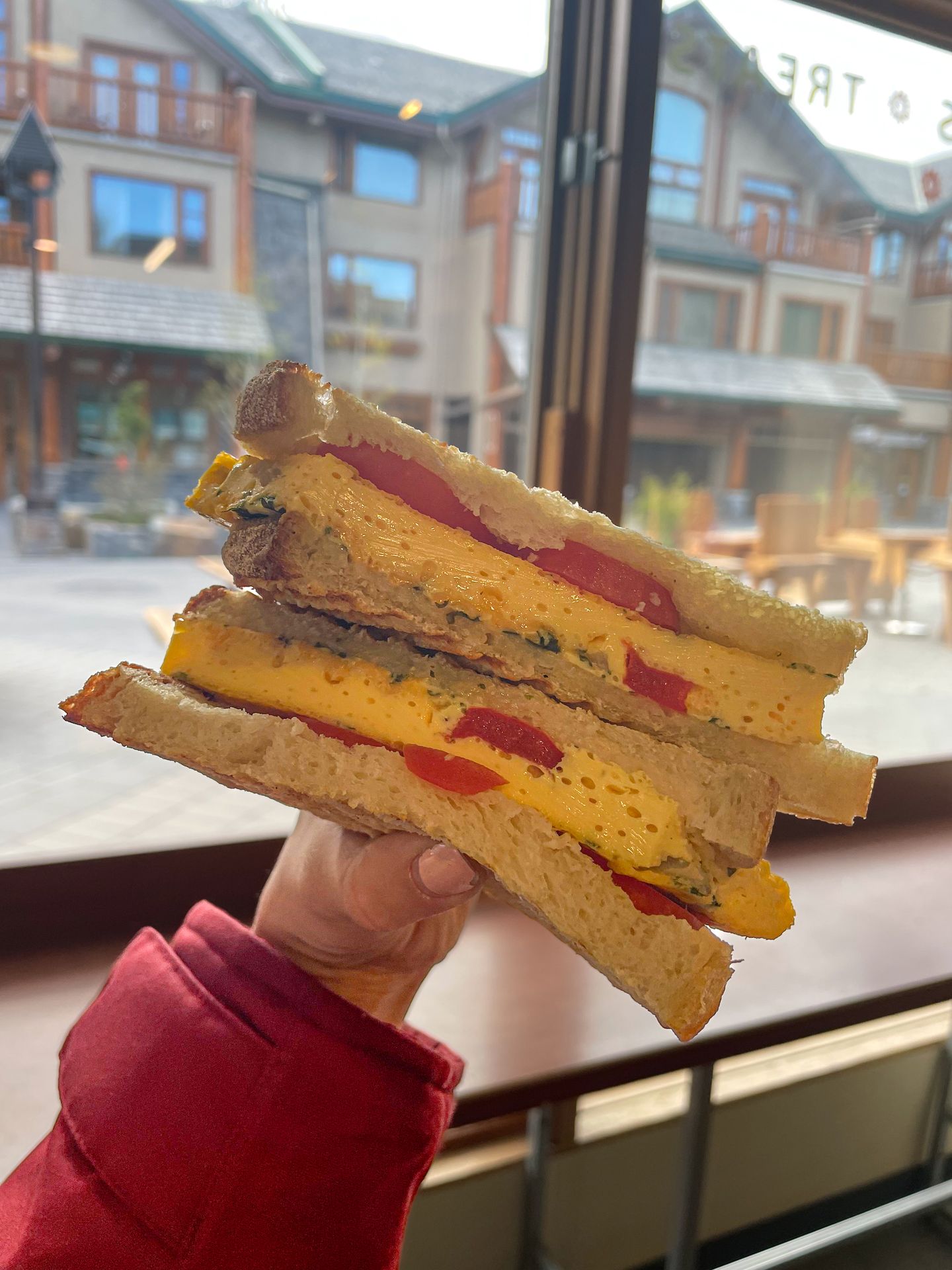 A sandwich with fluffy eggs and tomatoes from Wild Flour Bakery.
