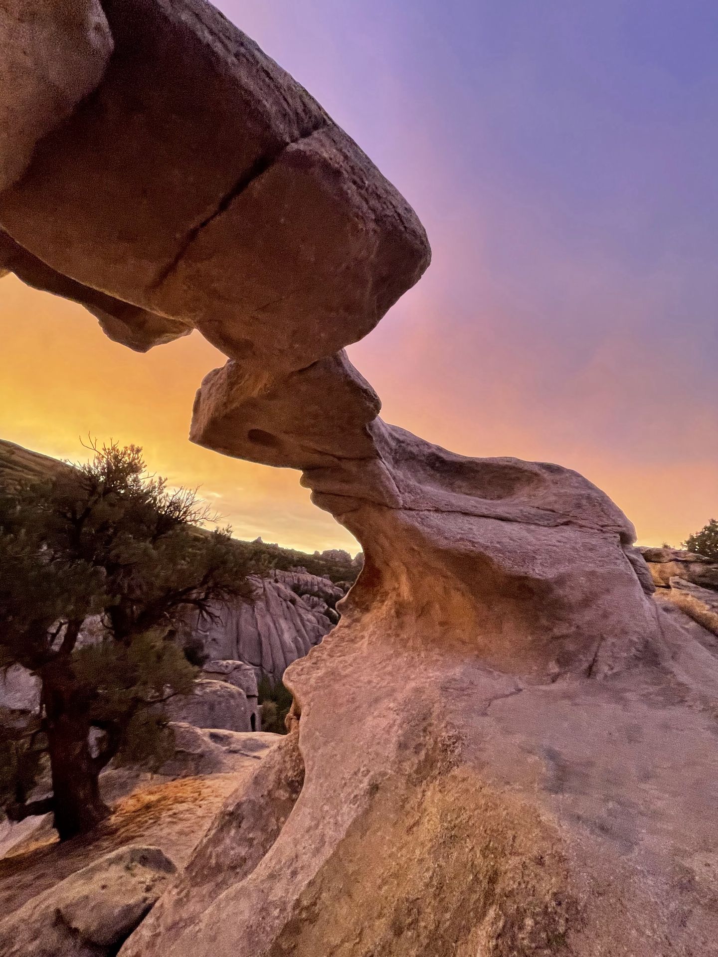 A thin arch with a yellow and purple sunset sky.