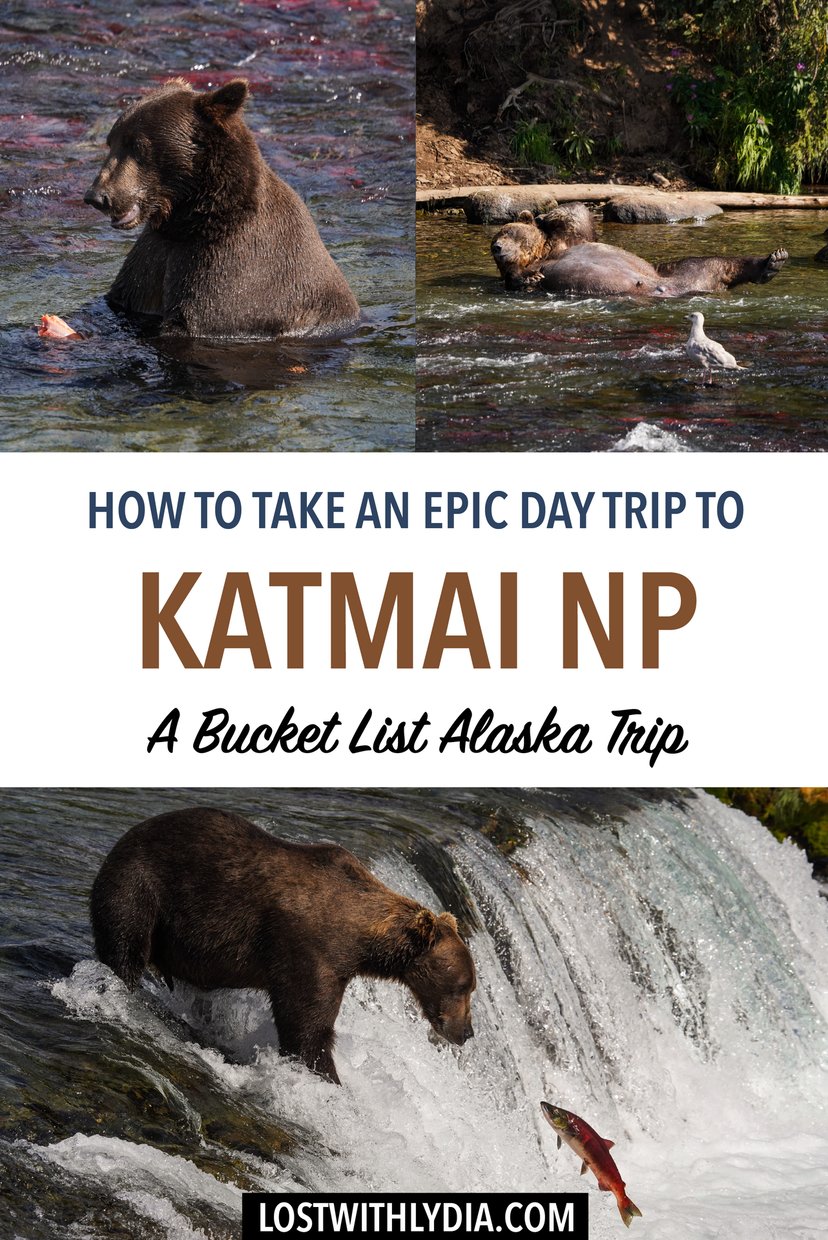 Learn how to vist Katmai and what to expect on a day trip to this bucket list Alaska national park.