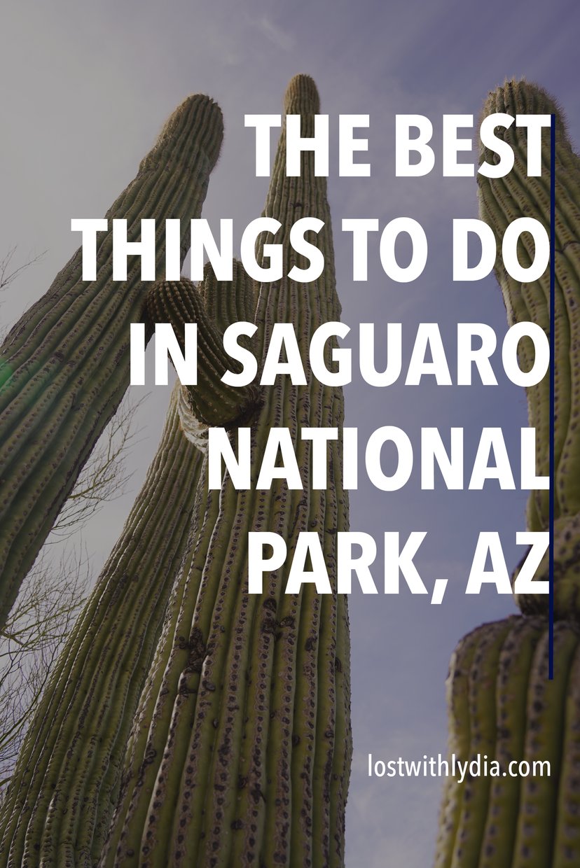Learn how to spend 2 days in Saguaro National Park! This guide includes hikes in Saguaro, scenic drives in Saguaro, and more.