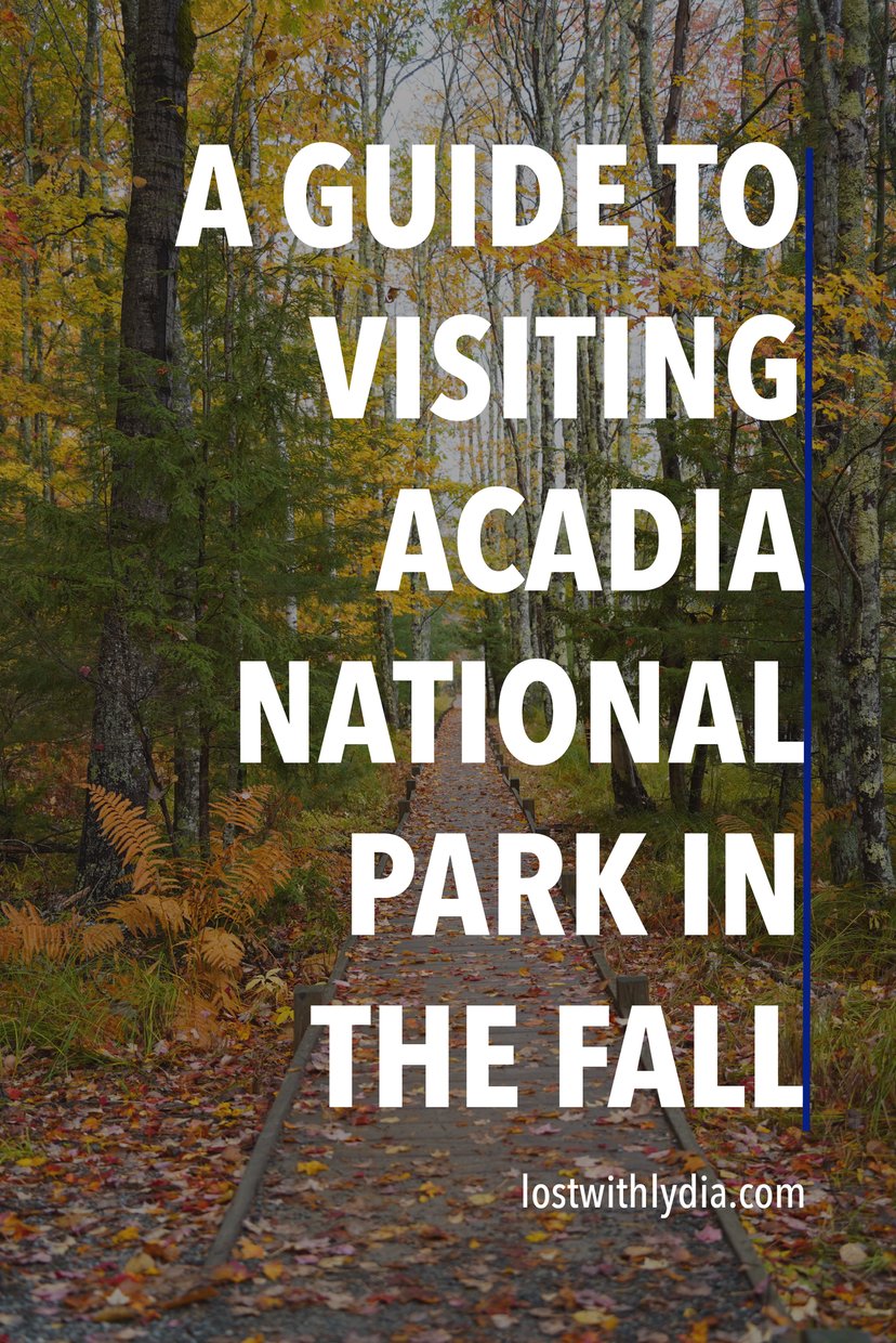 This detailed travel guide will help you plan an epic trip to Acadia National Park in the fall!