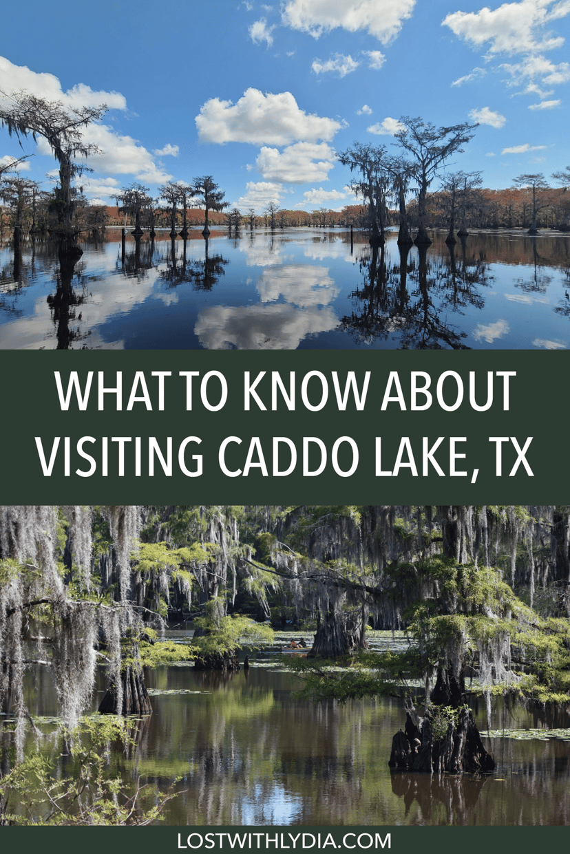 Discover the best things to do in Caddo Lake, a mysterious lake in east Texas. Get the details on kayaking on Caddo Lake, boat tours and exploring the historic town of Jefferson.