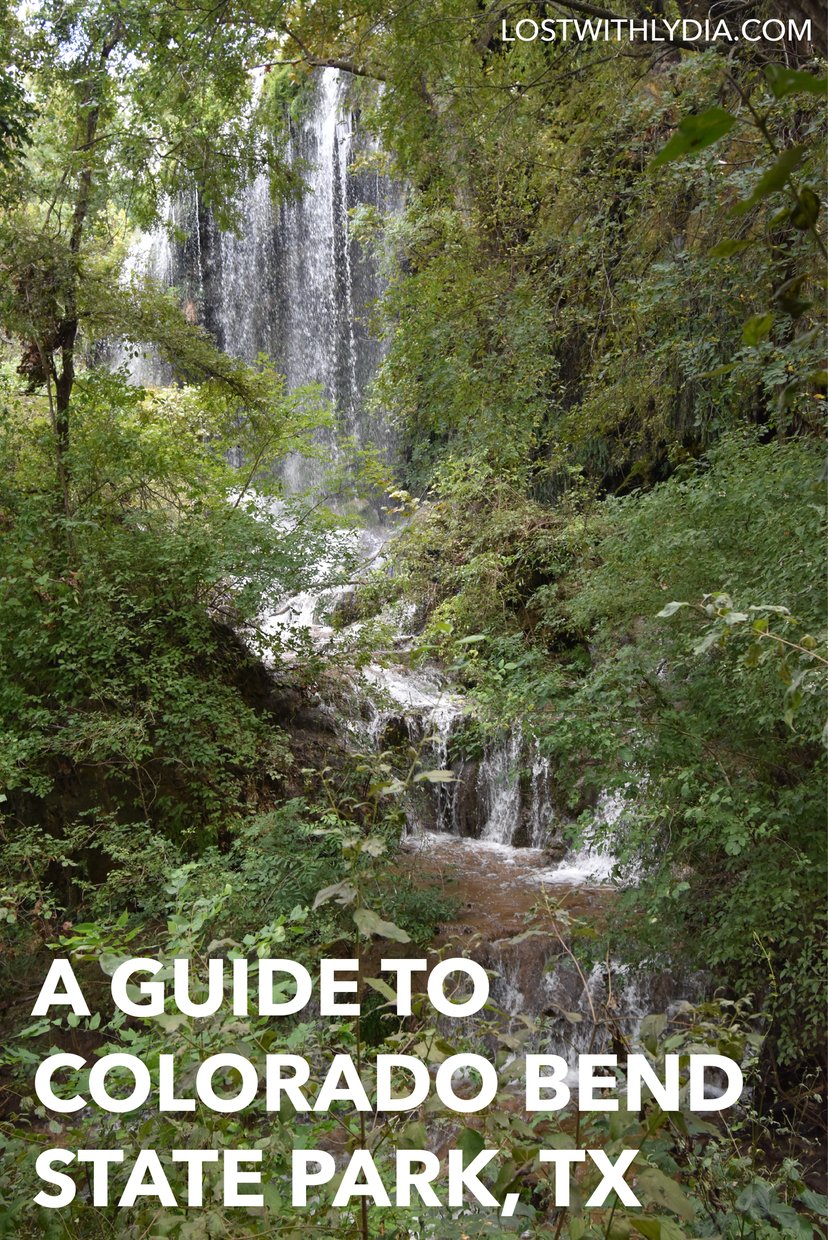 Discover all of the best things to do in Colorado Bend State Park, a Texas Hill Country gem. Colorado Bend State Park is famous for it's 70 foot waterfall and also a destination for great hiking and swimming.