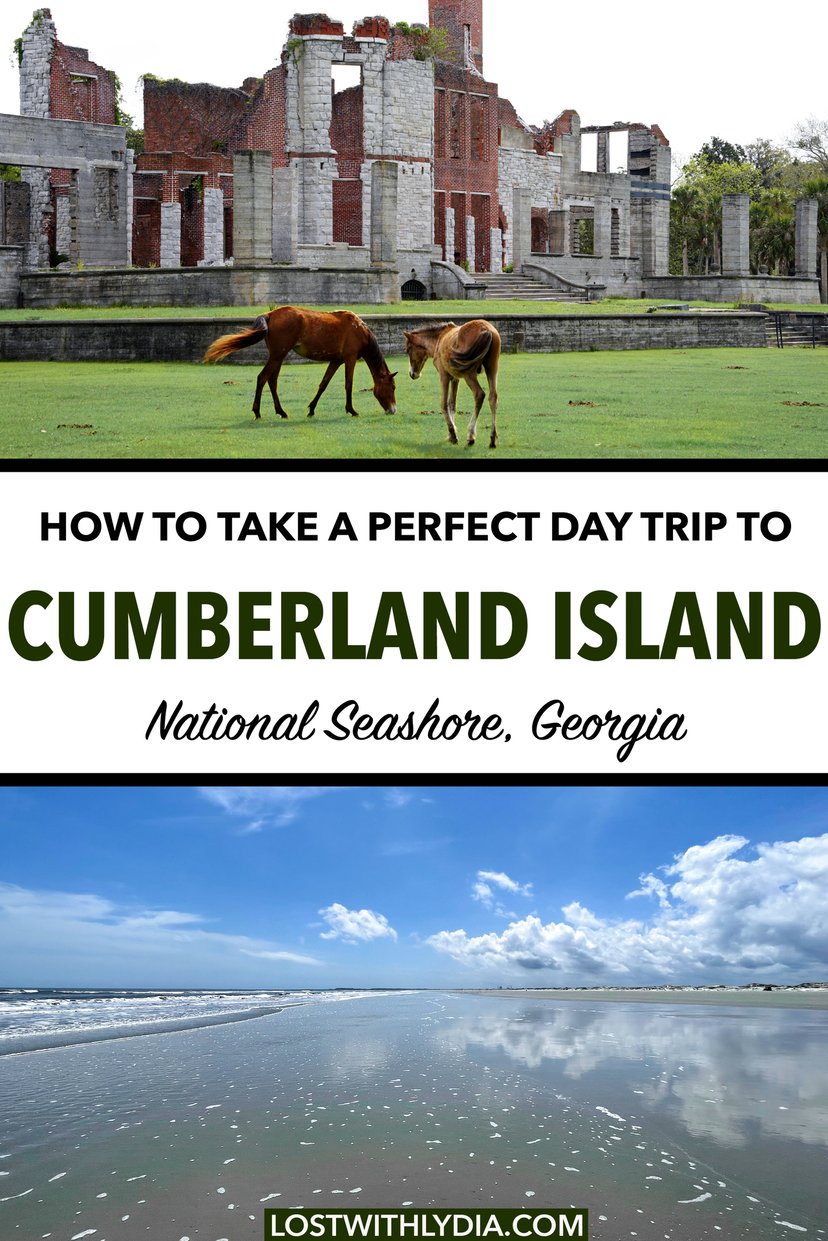 Use this guide to plan an epic day trip to Cumberland Island! Learn about hiking, the feral horses, the history and more.