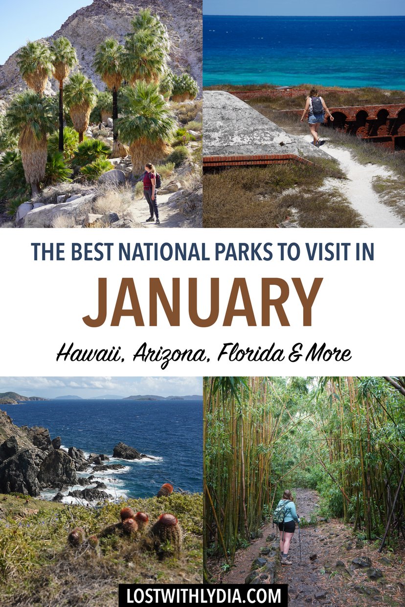 Discover the best national parks to visit in January! From Joshua Tree to the Everglades, there are plenty of national parks to visit in the winter.