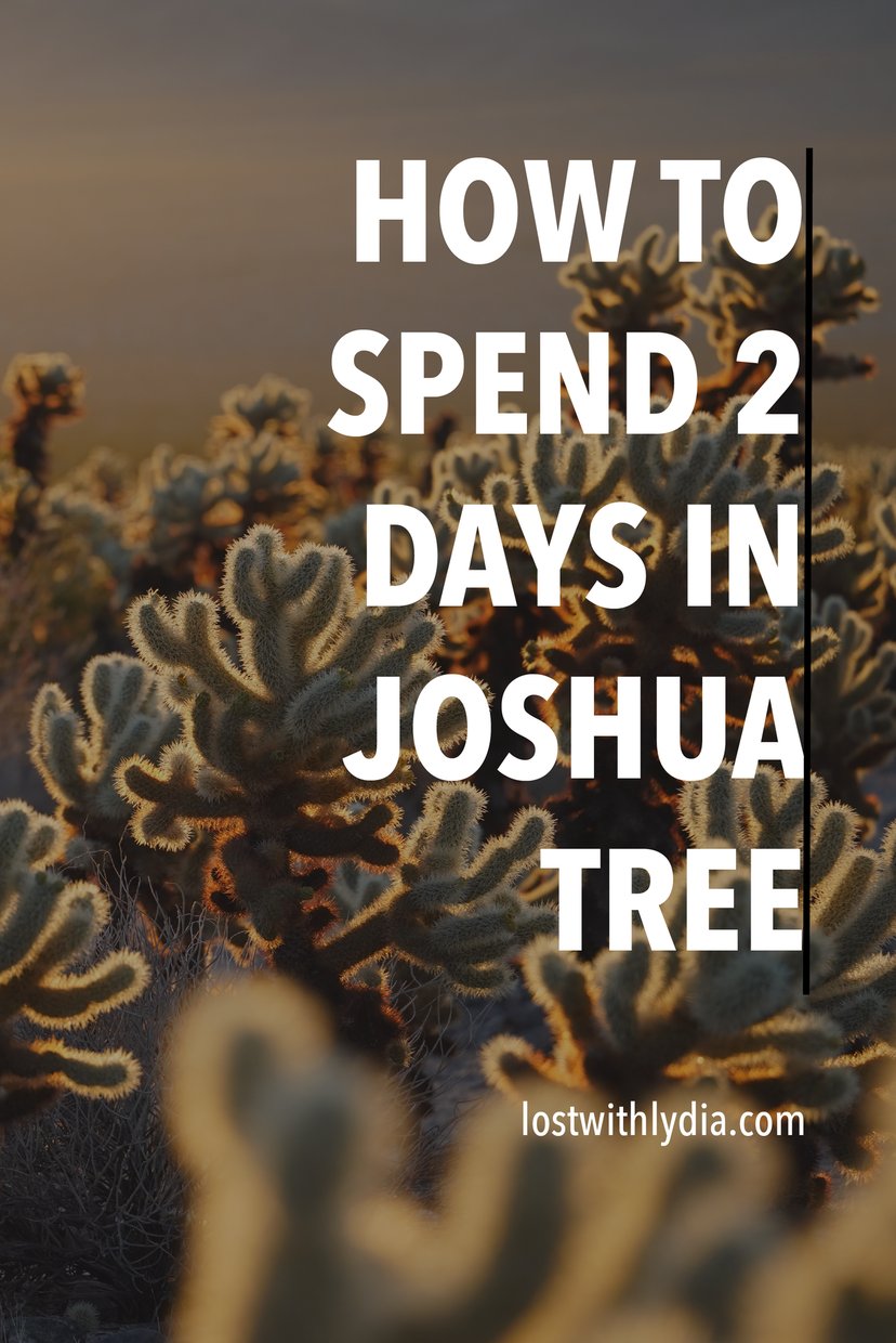 Learn how to spend two days in Joshua Tree National Park with this guide! Discover the best hikes in Joshua Tree and plan a perfect weekend in Joshua Tree.