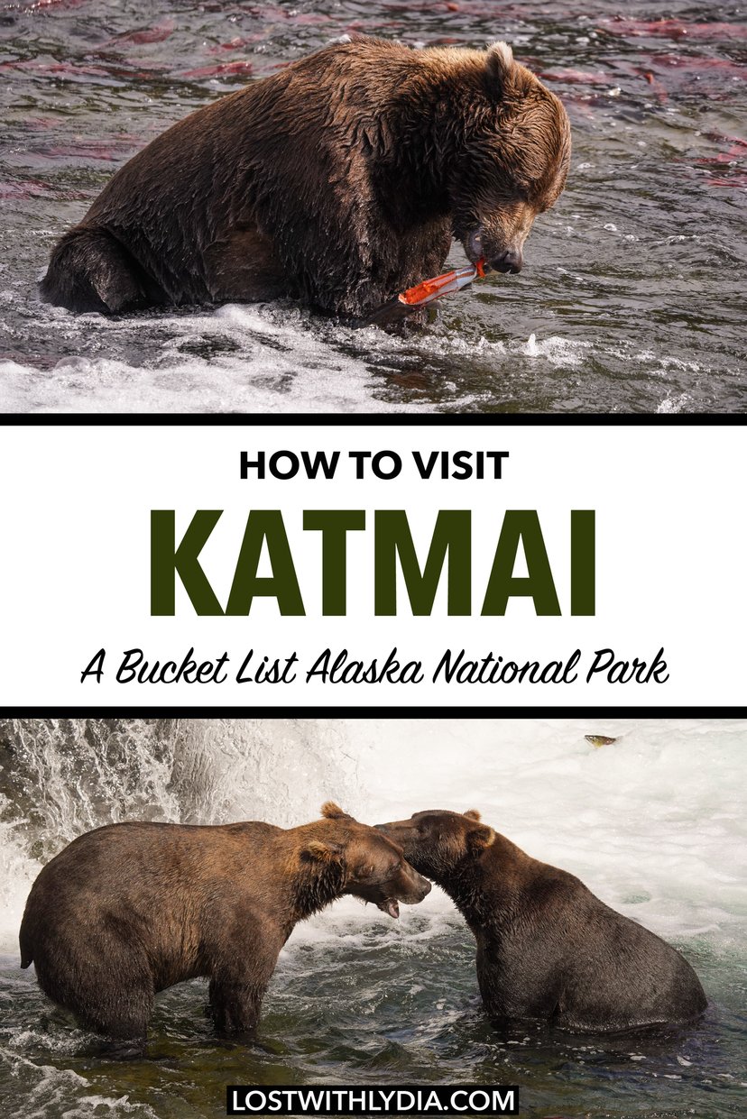 Learn how to vist Katmai and what to expect on a day trip to this bucket list Alaska national park.