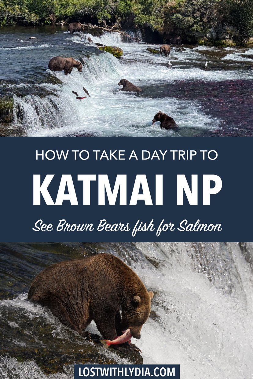 Learn how to vist Katmai and what to expect on a day trip to this bucket list Alaska national park.