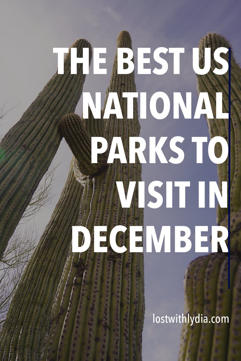 Learn about the best US national parks to visit in December! This list will give you ideas for an epic winter vacation.