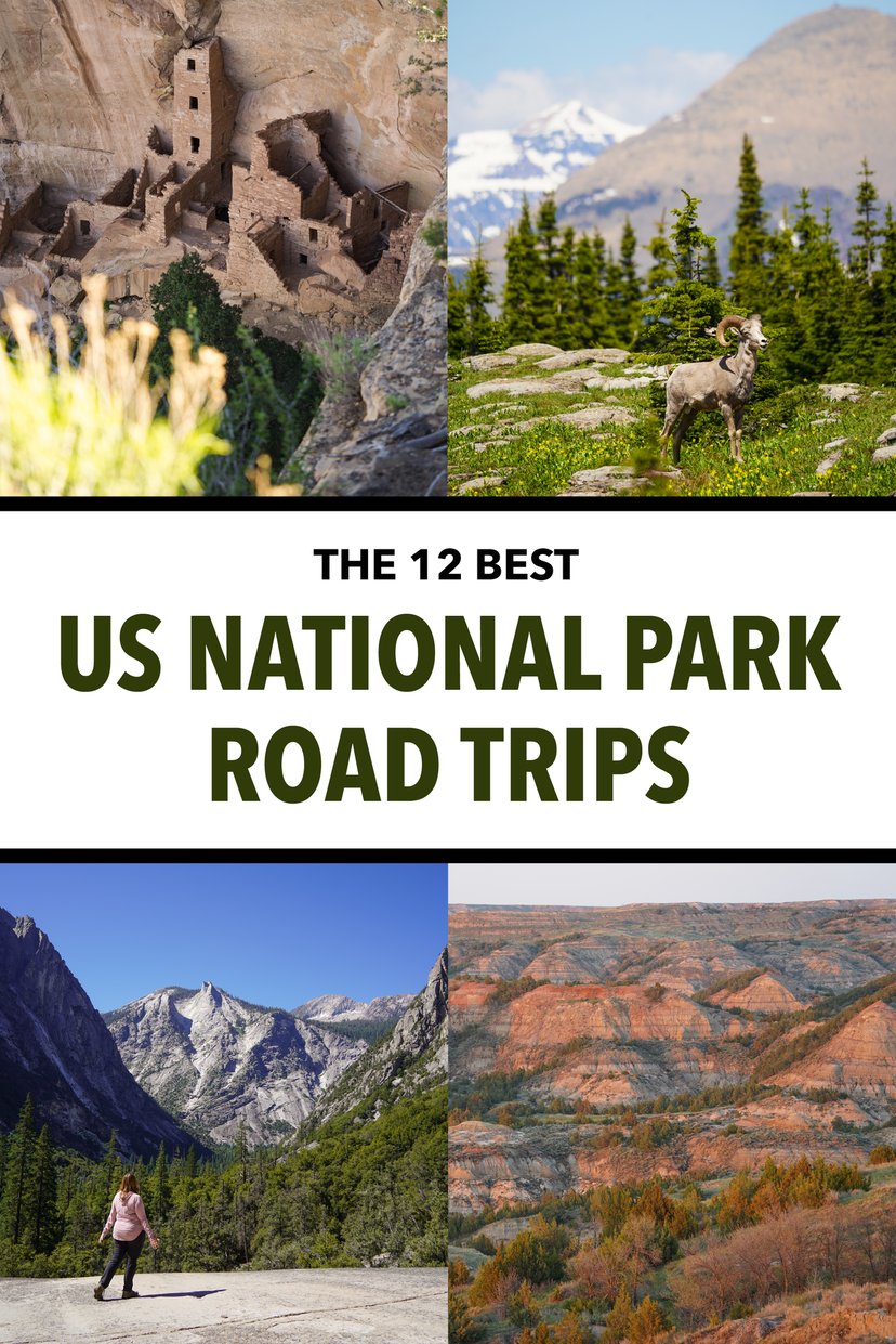 Get ideas for your next national park road trip! From the mountains of Colorado to alligators in Florida, there is so much beauty across the US.