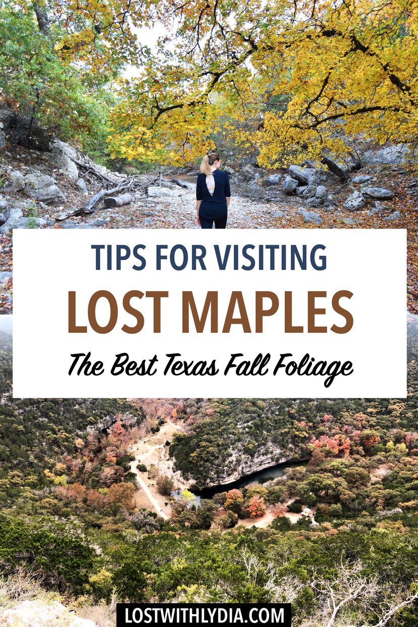 Experience the best fall foliage in Texas at Lost Maples State Park! This is the perfect Texas Hill Country destination to visit in the fall!