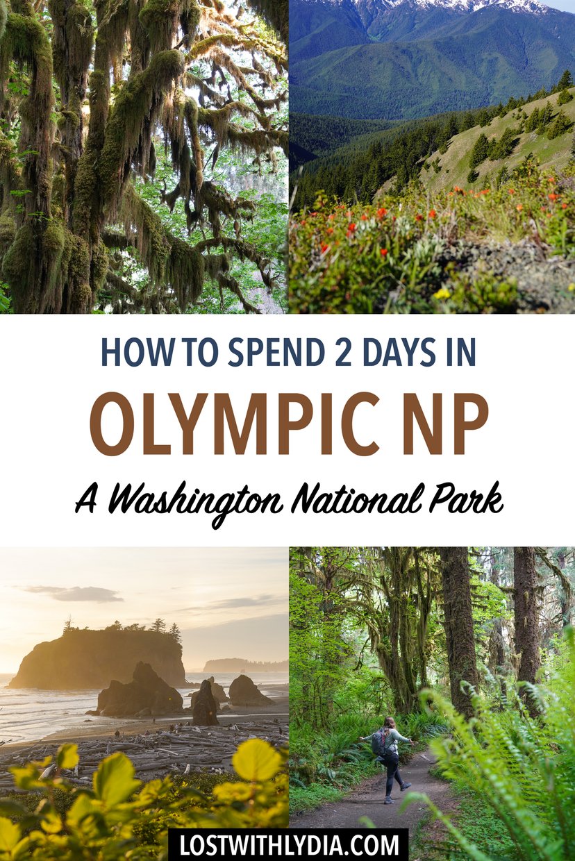 Discover the best things to do in Olympic National Park in this weekend itinerary! Visit the rainforest, coast, mountains and more.