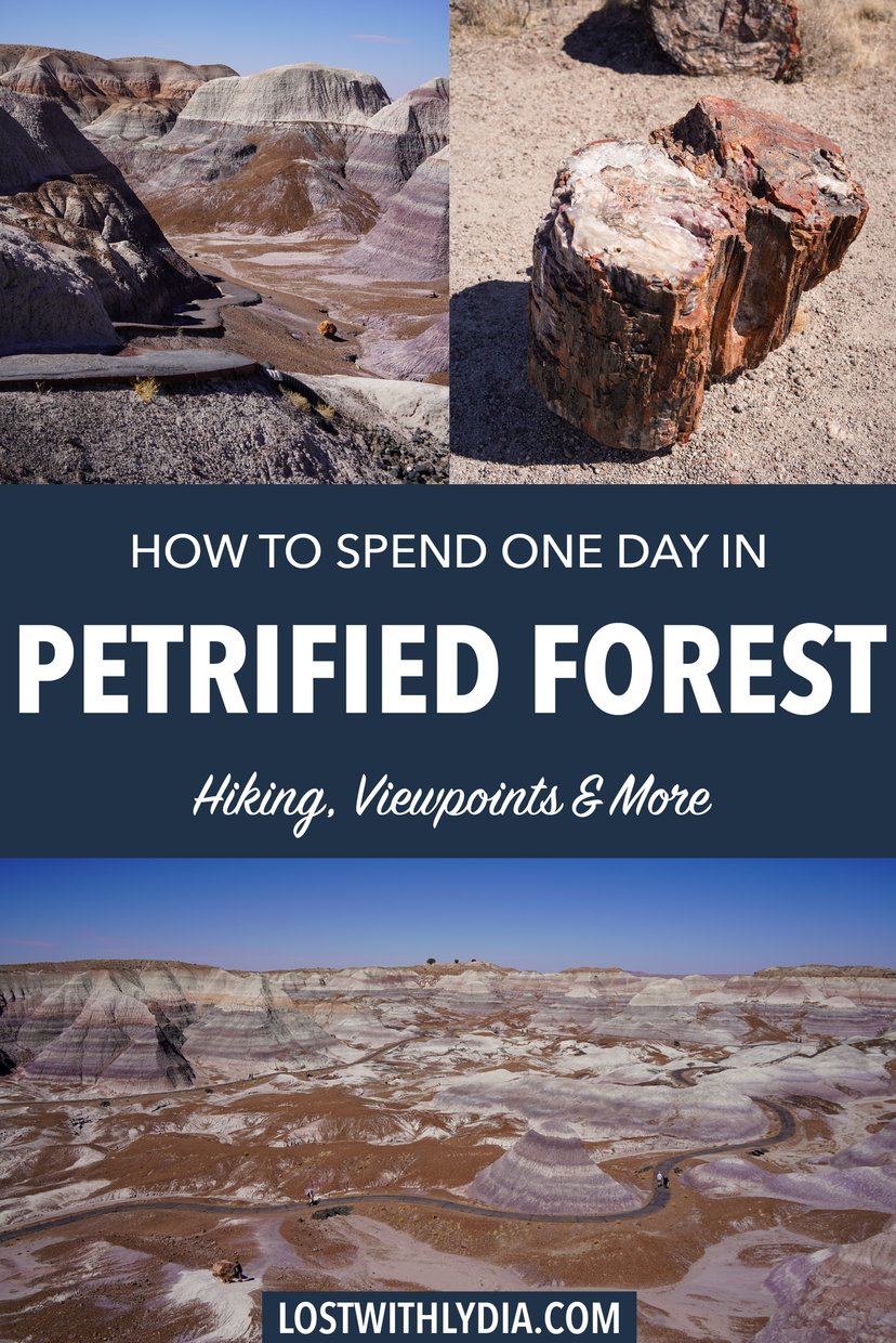 Learn about the perfect Petrified Forest National Park itinerary! From easy hikes to epic viewpoints, this guide will help you plan a great national park trip.