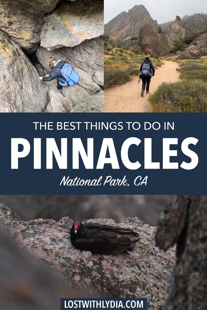 Learn about the best things to do in Pinnacles National Park! Discover hiking trails, birding, caves, and more.