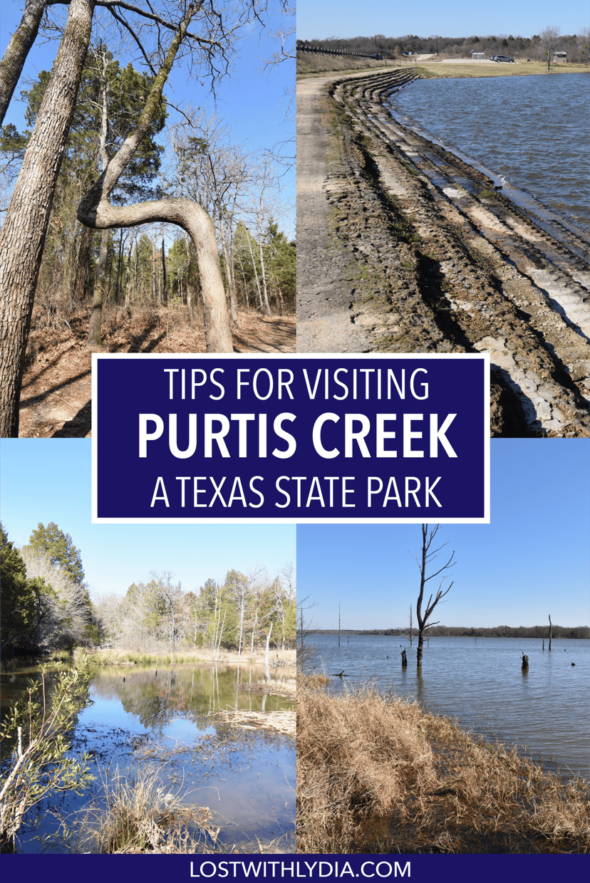 A guide to visiting Purtis Creek State Park, a Texas state park a short drive away from the DFW area.