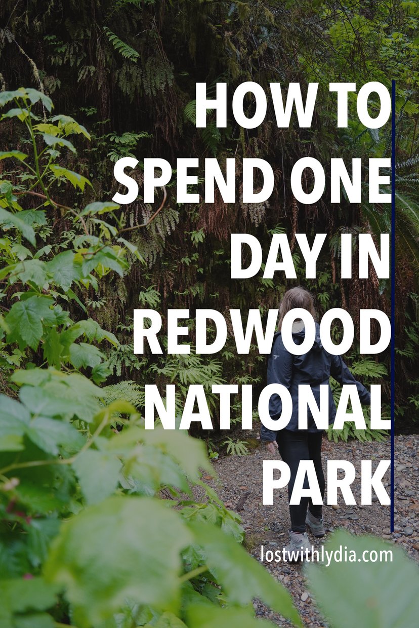 Discover the best things to do in Redwood National Park in this itinerary! This magical park has incredible trails and should be on your national park bucket list.