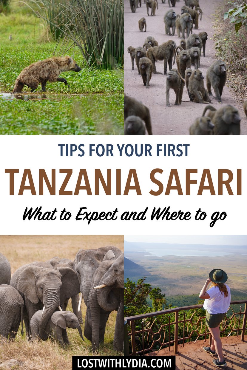 Read about the perfect itinerary for a Tanzania safari! Plus, learn tips for your first African safari.