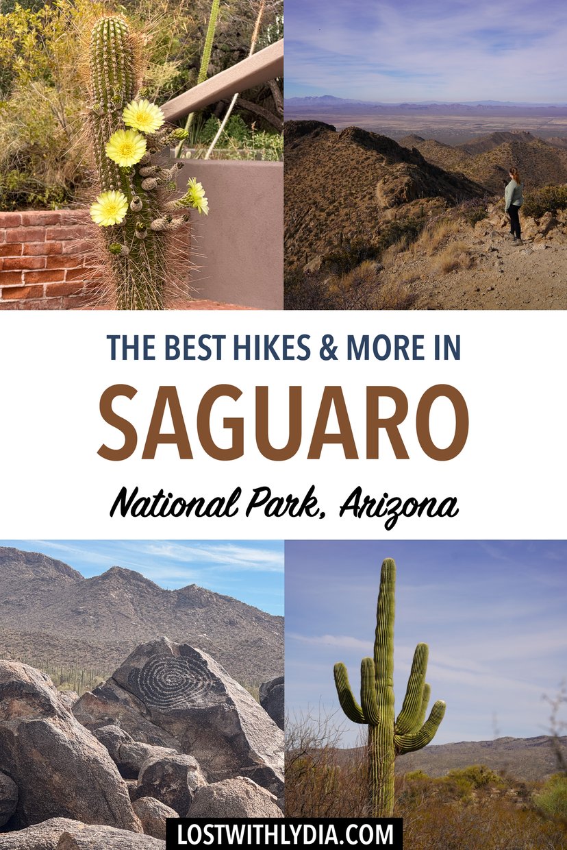 Learn how to spend 2 days in Saguaro National Park! This guide includes hikes in Saguaro, scenic drives in Saguaro, and more.