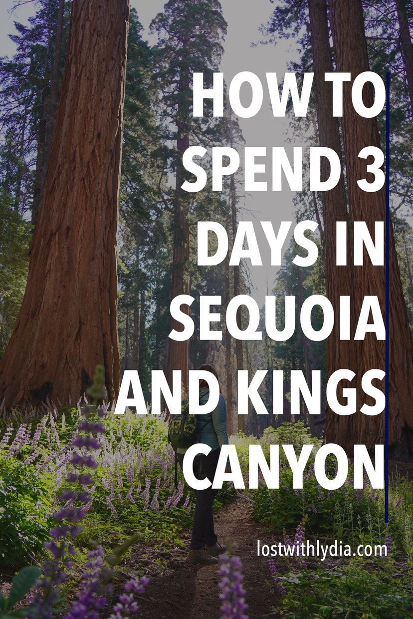 Learn about the best things to do in Sequoia and Kings Canyon National Parks! This itinerary includes epic hikes and views in these California national parks.