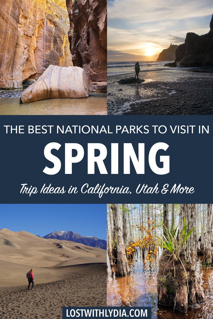 If you're considering a national park road trip in the spring, use this list for ideas!