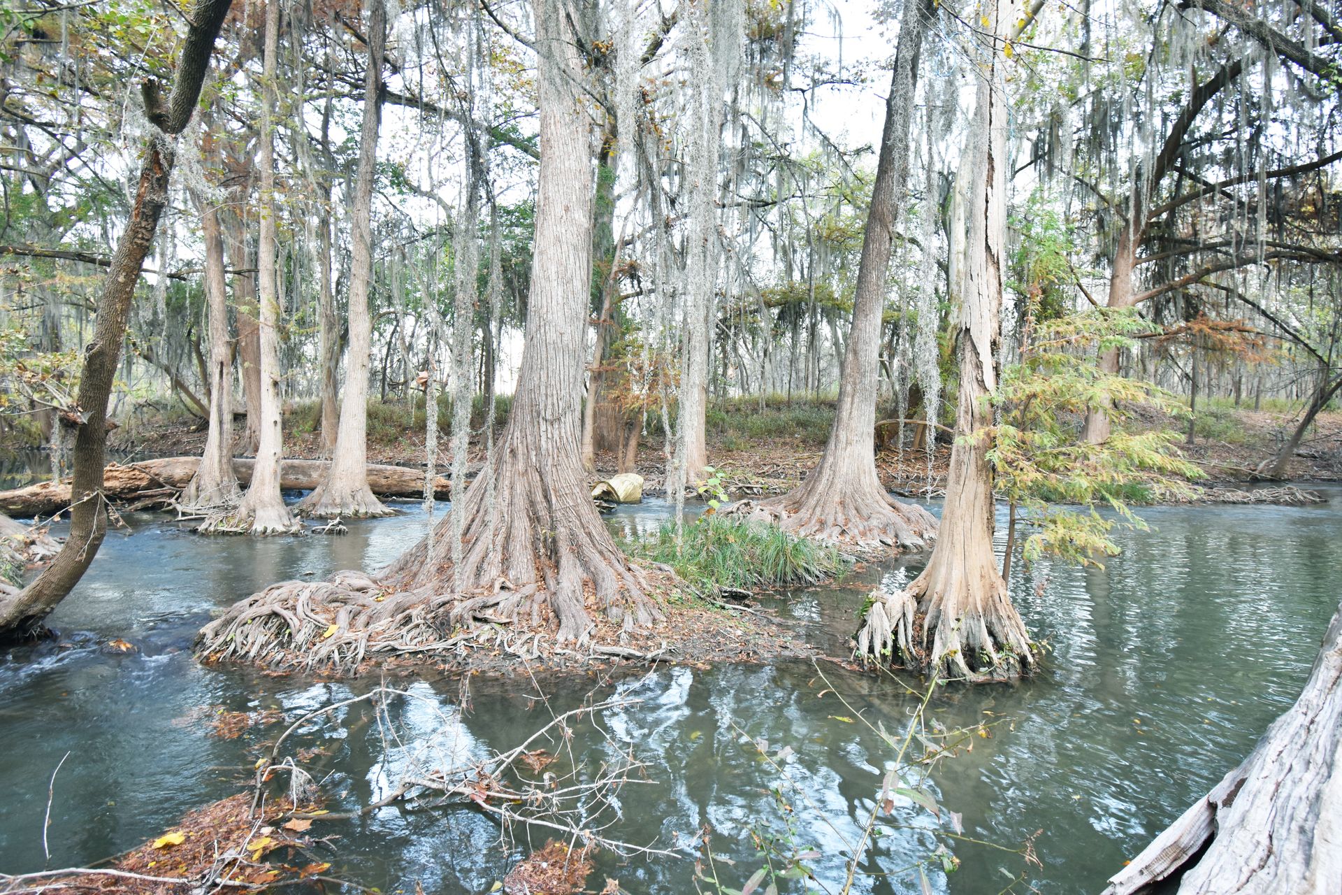 A Guide to Visiting Castroville, TX