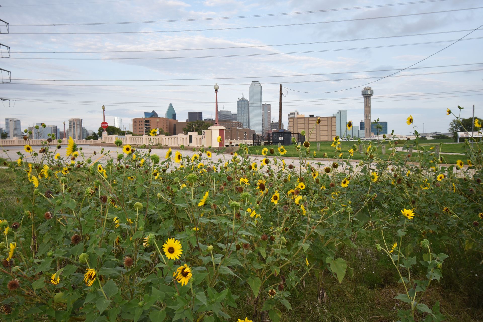 Top 10 Things To Do in Dallas, Texas (From a Local!) - Lost with Lydia