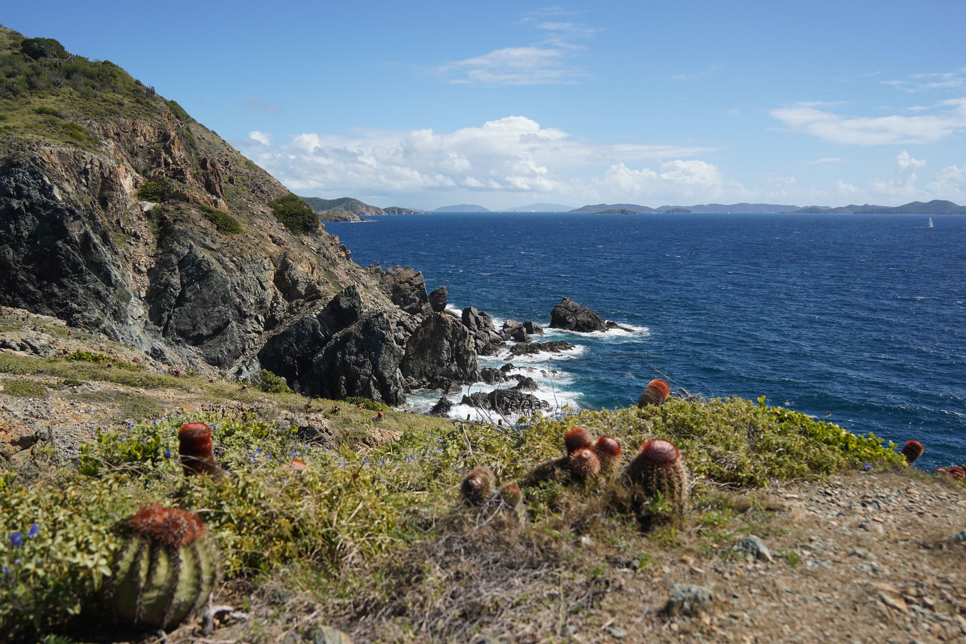 The Ultimate Guide To Visiting US Virgin Islands National Park the-ultimate-guide-to-visiting-us-virgin-islands-national-park