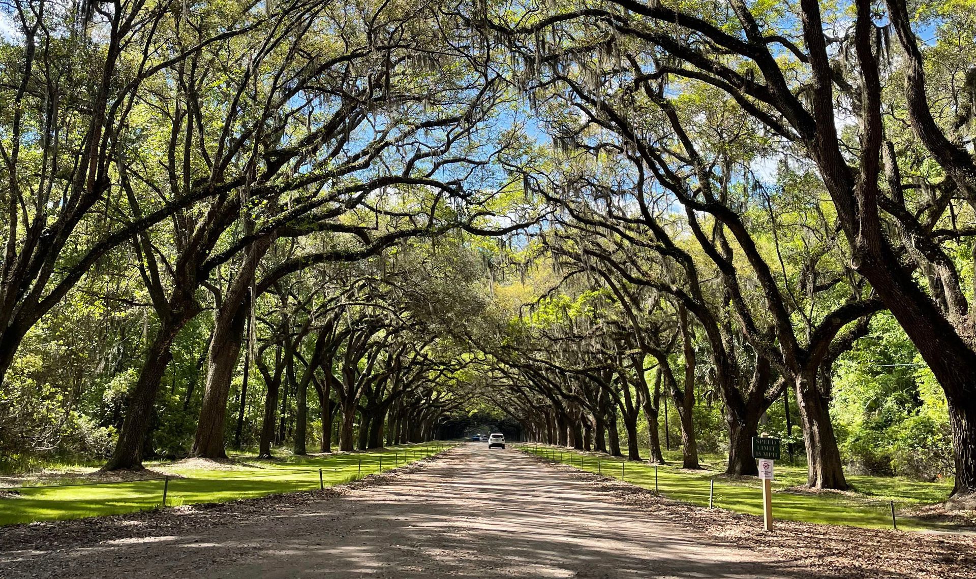 How to Spend a Long Weekend in Savannah: 3 Day Itinerary